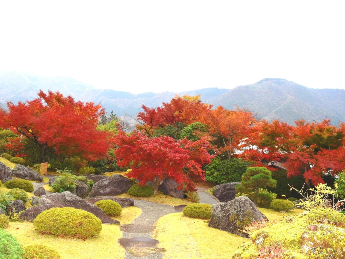 Tkp Lectore Hakone Gora Luaran gambar