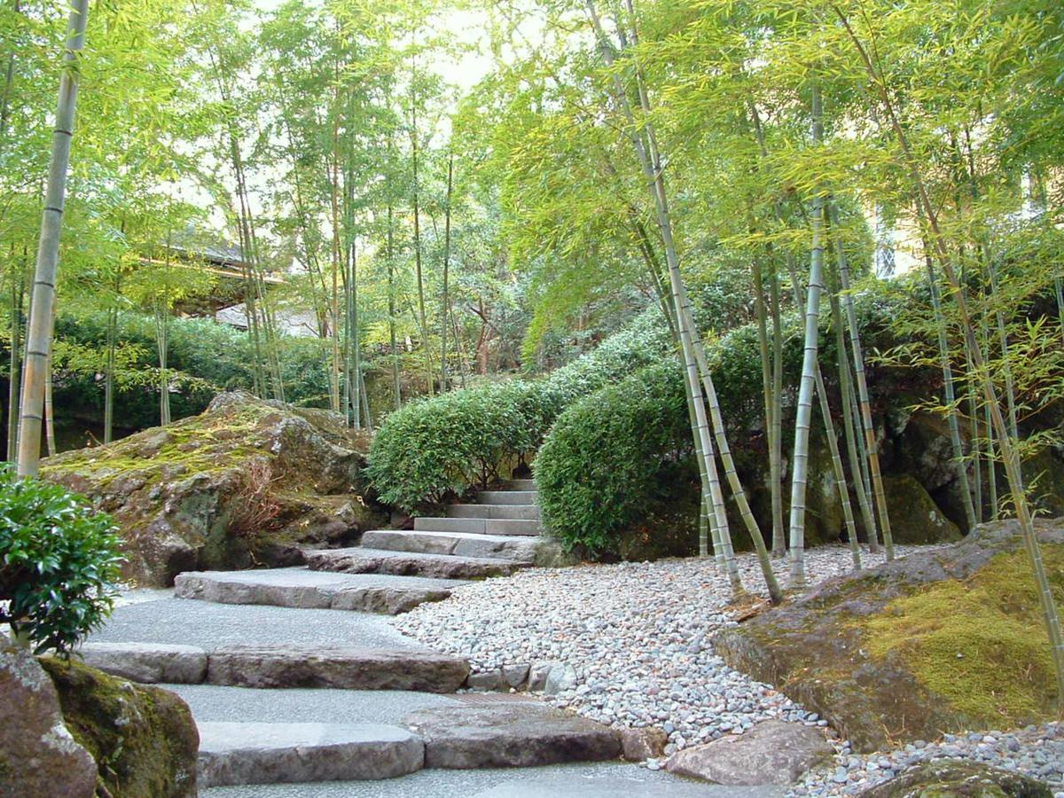Tkp Lectore Hakone Gora Luaran gambar