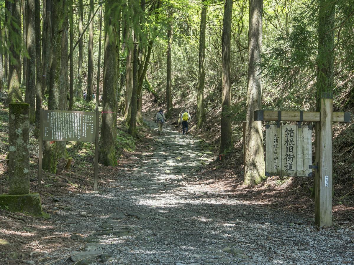 Tkp Lectore Hakone Gora Luaran gambar